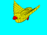 Canary